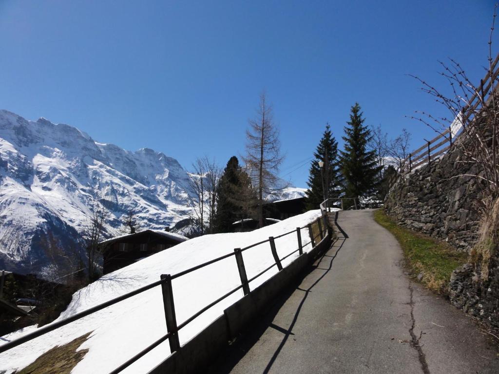 Chalet Schoenbuehl Мюррен Экстерьер фото