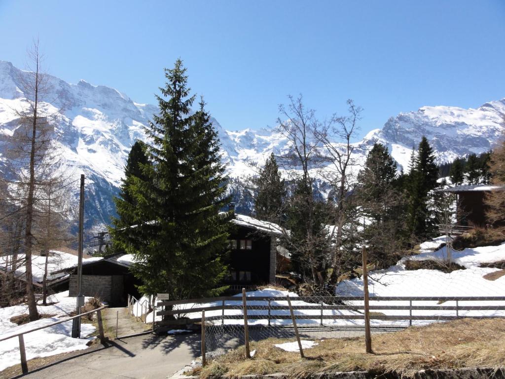 Chalet Schoenbuehl Мюррен Экстерьер фото