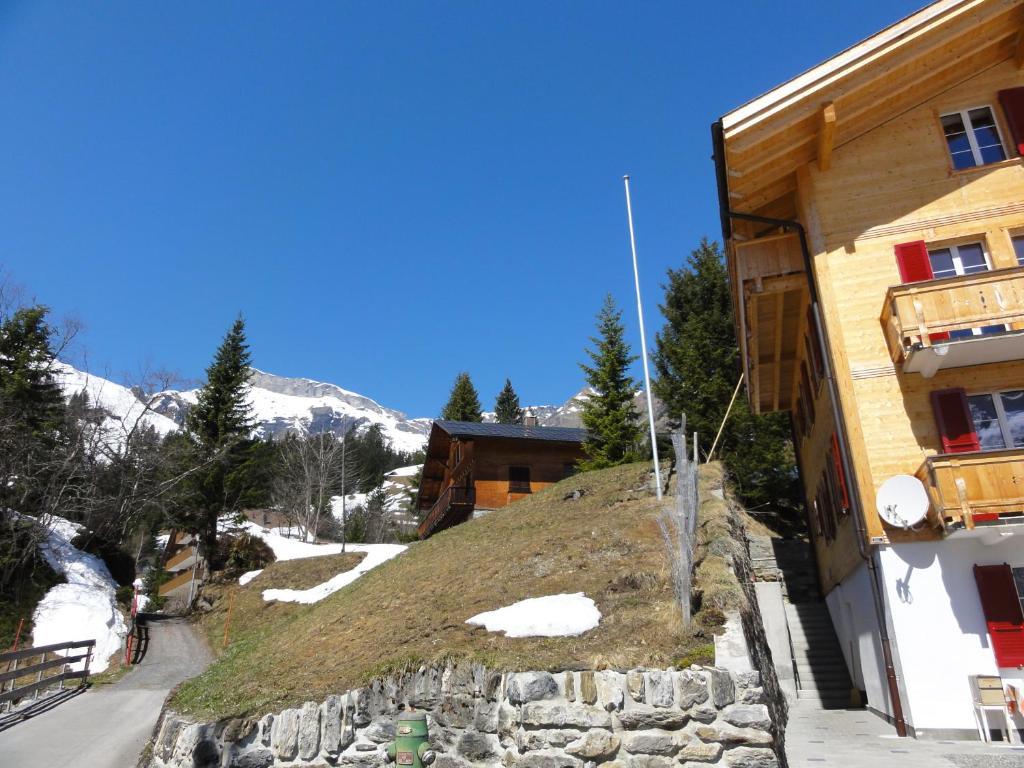 Chalet Schoenbuehl Мюррен Экстерьер фото