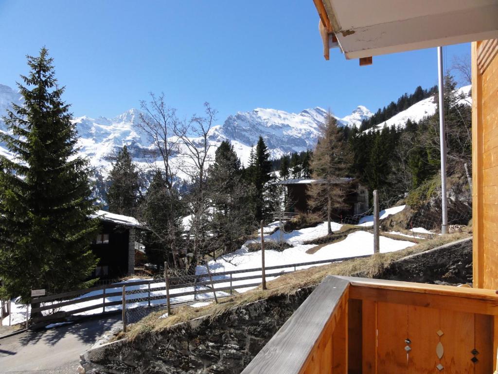 Chalet Schoenbuehl Мюррен Экстерьер фото