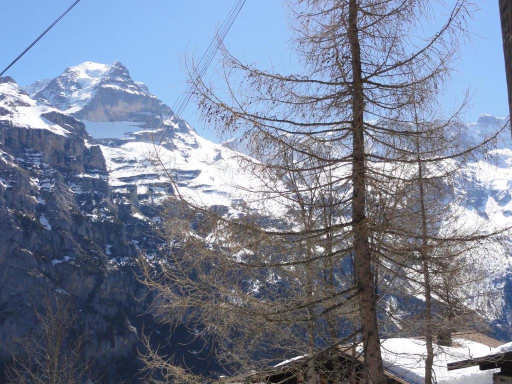 Chalet Schoenbuehl Мюррен Экстерьер фото